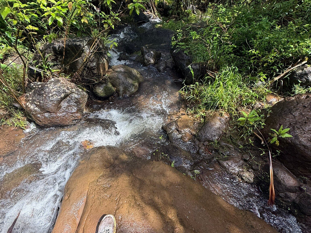 Hanakapiai Falls-可爱岛必去景点