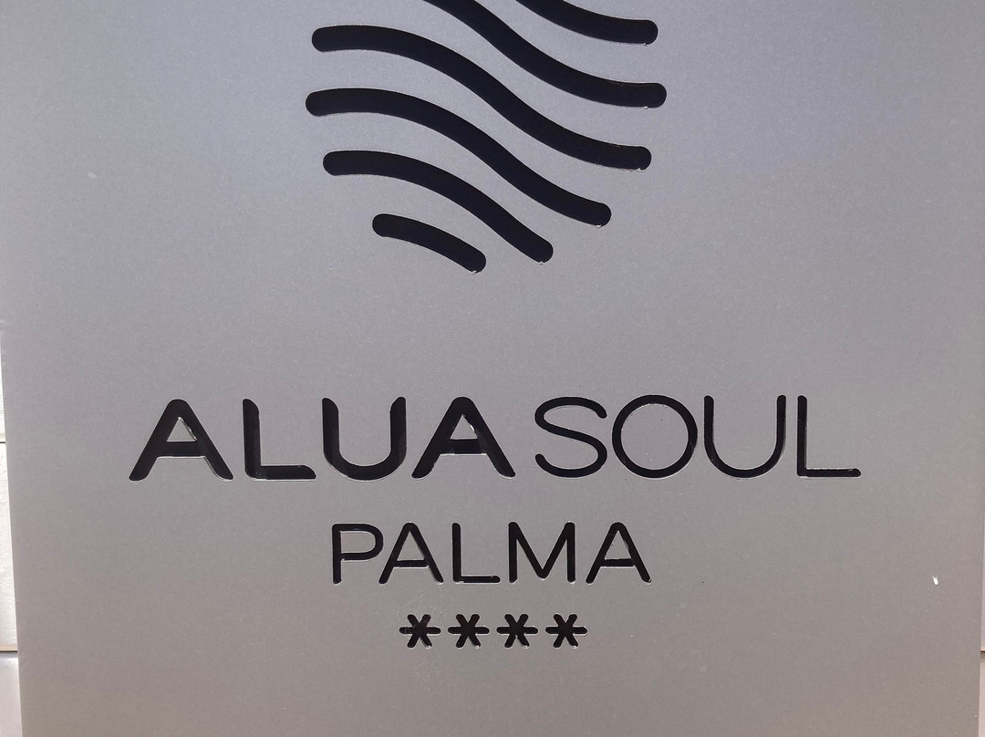 AluaSoul帕尔马酒店，仅限成人主图