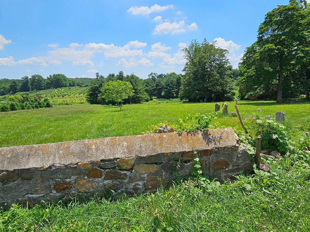 Old Stone Graveyard