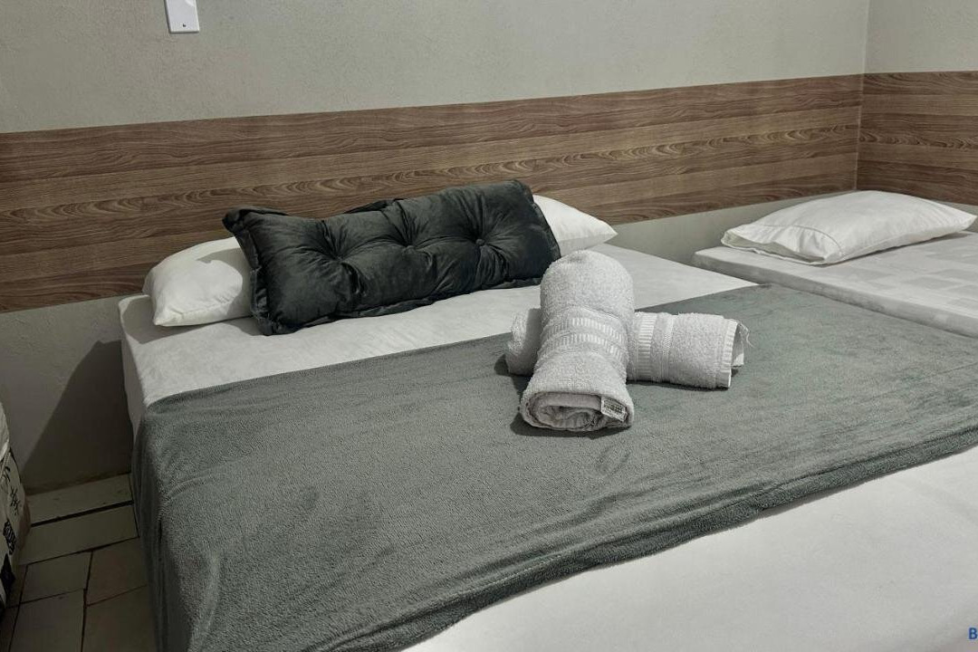 Hotel O Leao