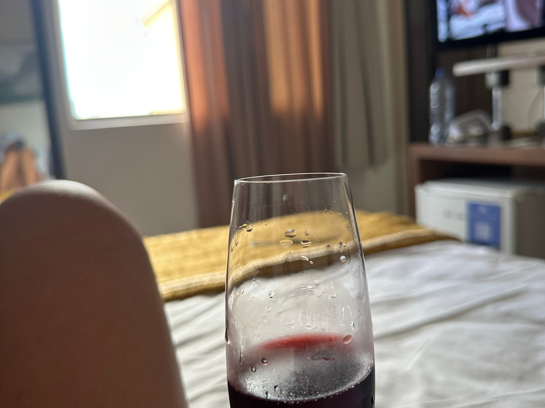 特罗阿瓜伊瓜苏酒店主图