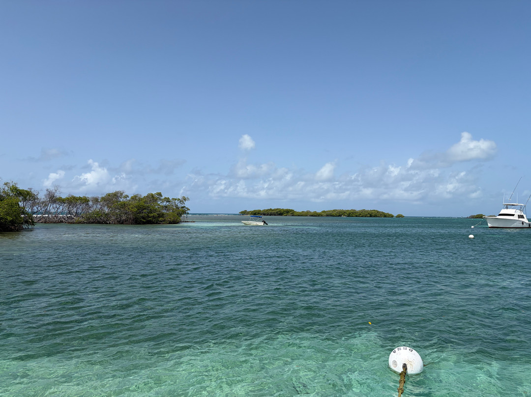 Parguera Water Sports-La Parguera必去景点
