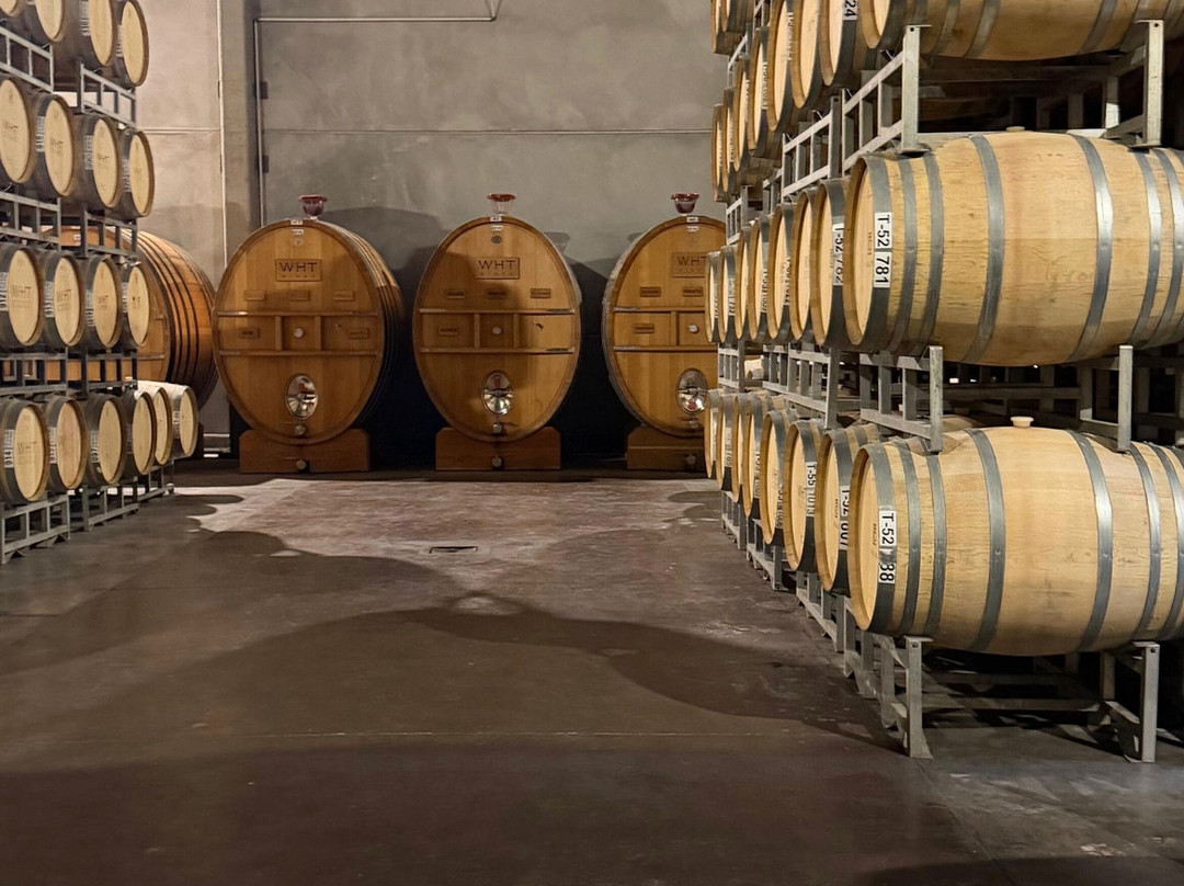 Huarpe Riglos Family Wines-阿格雷洛必去景点
