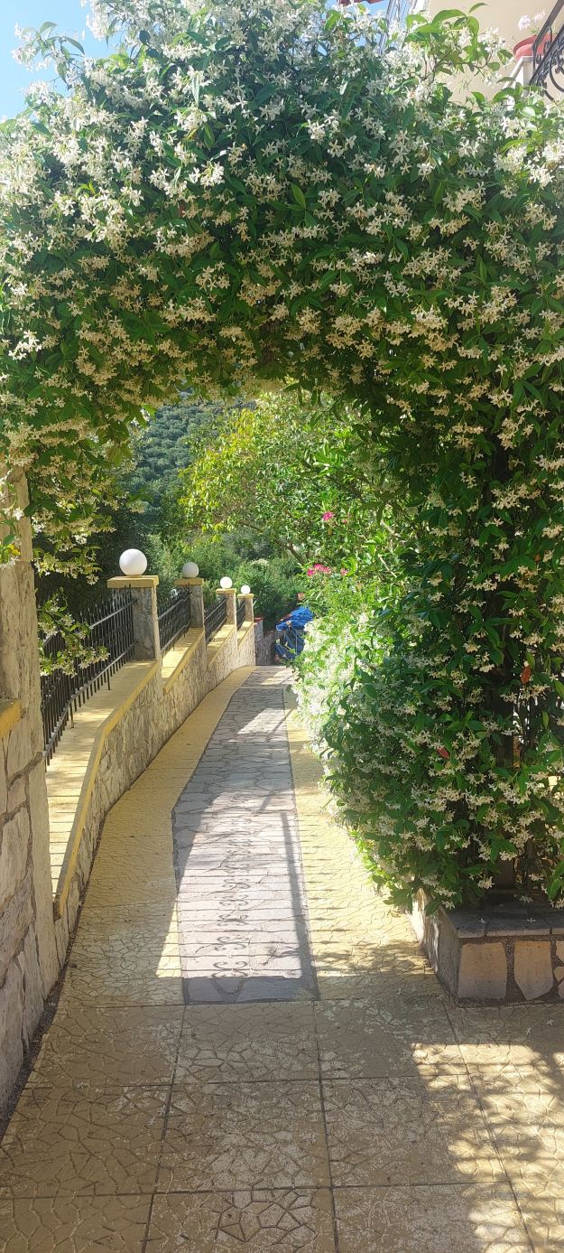 Zozefina Apartments & Studios-旅行者