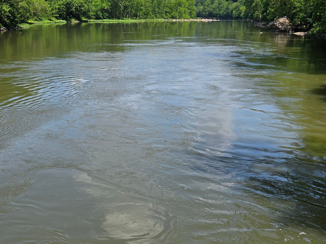 New & Gauley River Adventures-Lansing必去景点