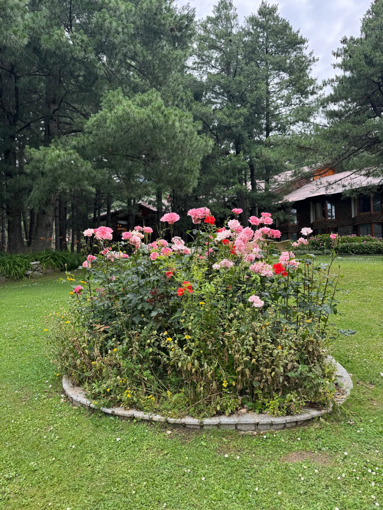 帕哈甘松峰欢迎酒店-旅行者