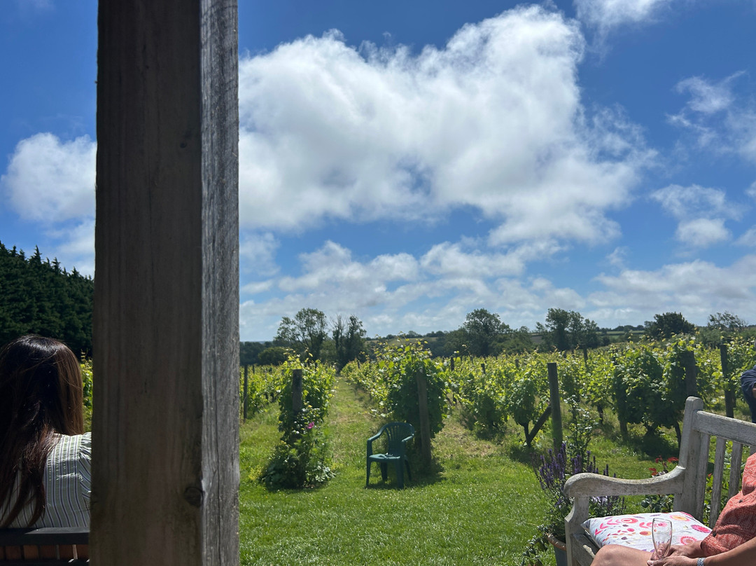 Glyndwr Vineyard-卡迪夫必去景点