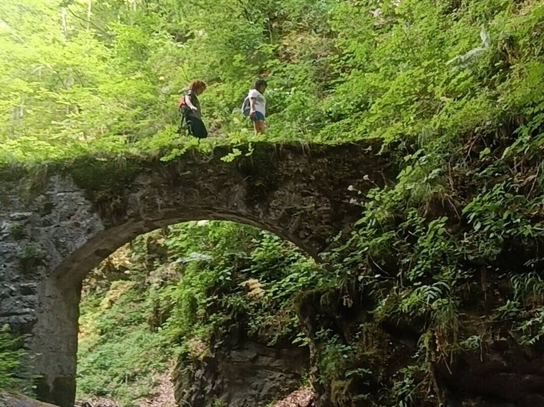 Cascata di Fuas-Prato Carnico必去景点