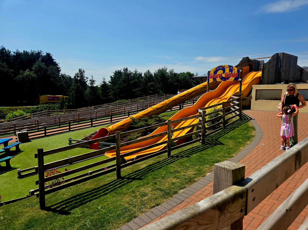 Dalscone Farm Fun-邓弗里斯必去景点