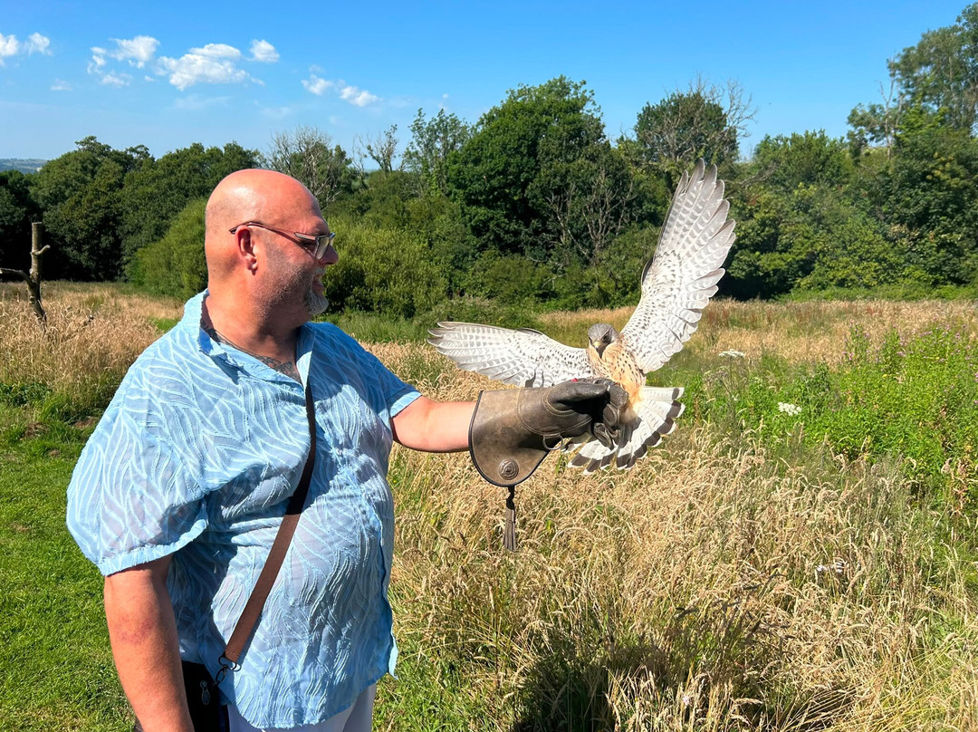 The British Bird of Prey Centre-喀麦登必去景点