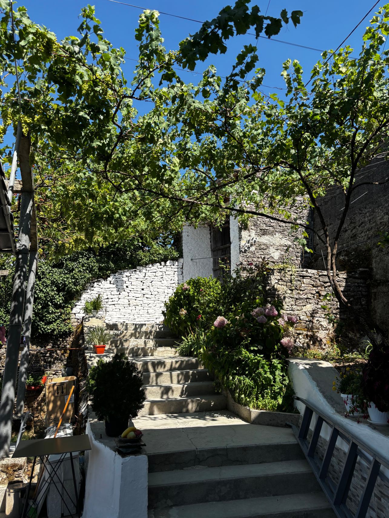 Stone Rooms 1850-旅行者