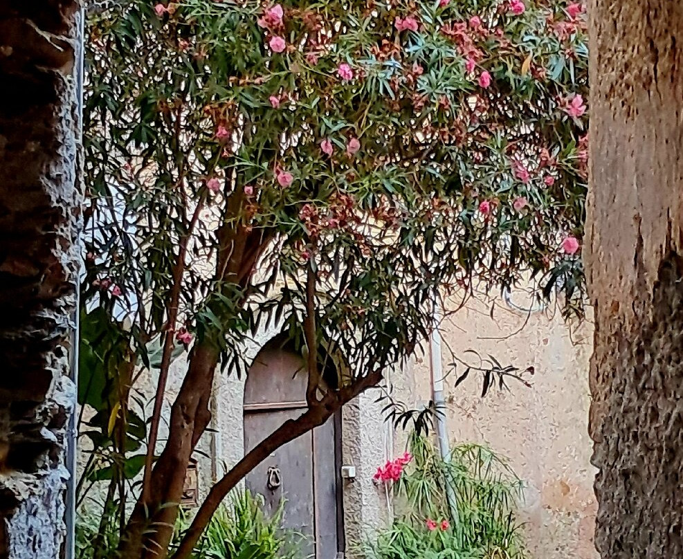 Centro Storico Belmonte Calabro-Belmonte Calabro必去景点