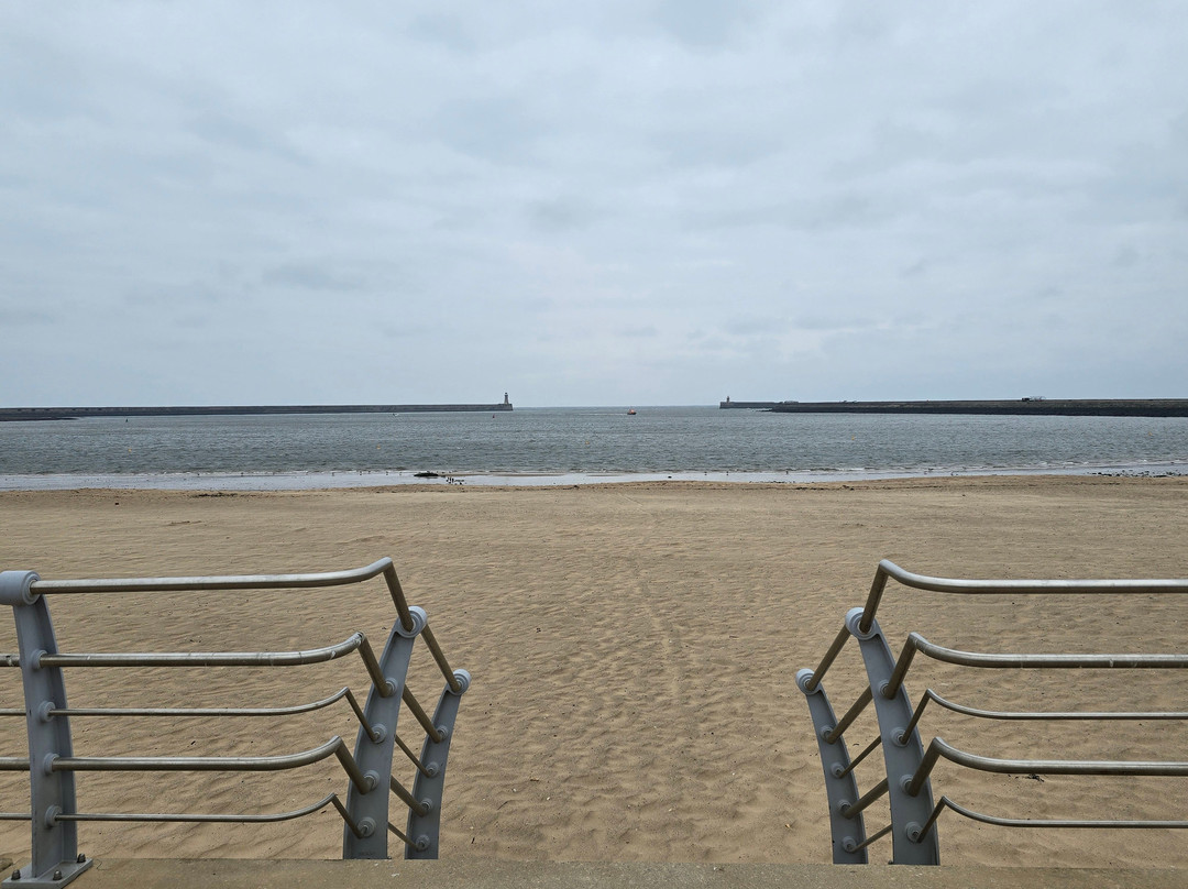 Littlehaven Beach-南希尔兹必去景点