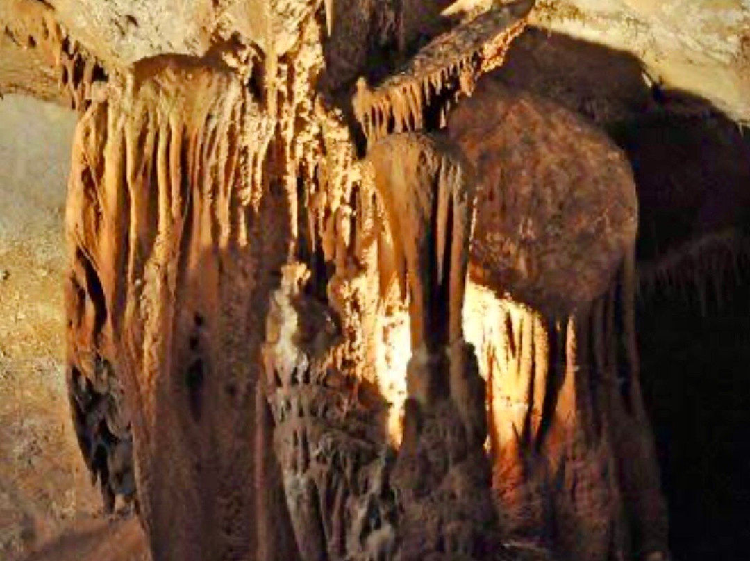 Grotte du Pech-Merle-Cabrerets必去景点