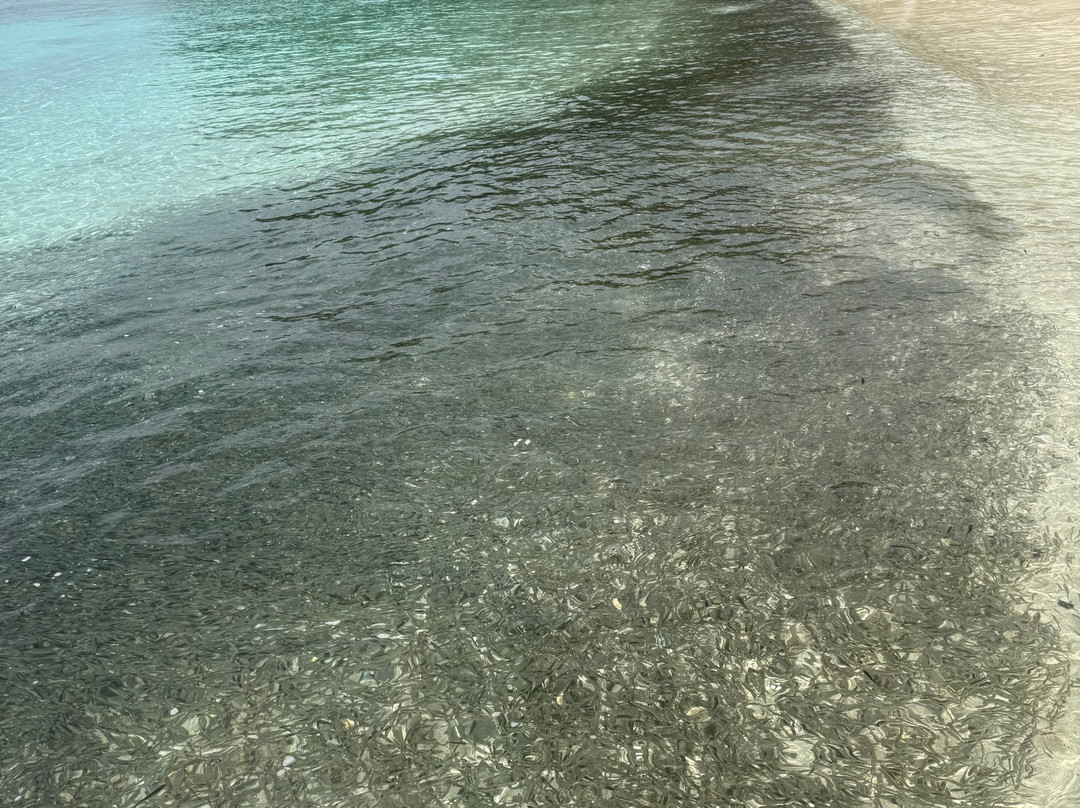 Phuket Cheap Tour-普吉岛必去景点