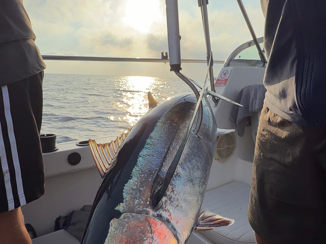 Fishing Mate Cyprus-帕拉林尼必去景点