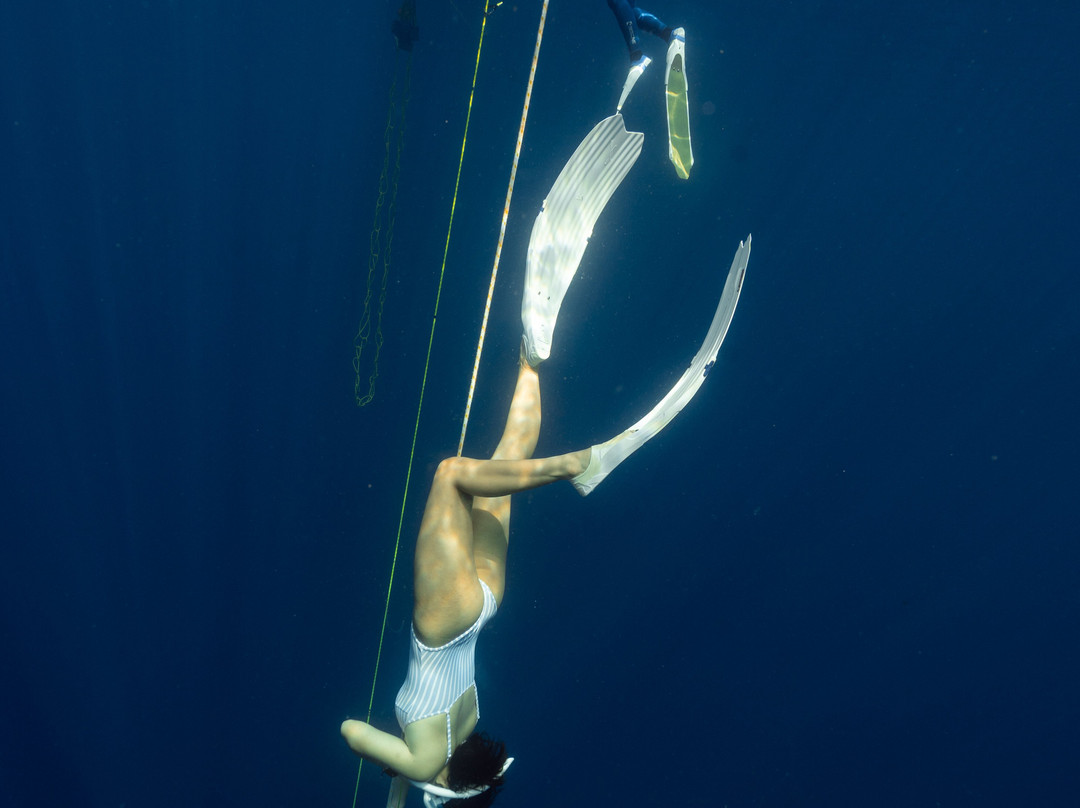 Ocean Bx Freediving-Mati必去景点