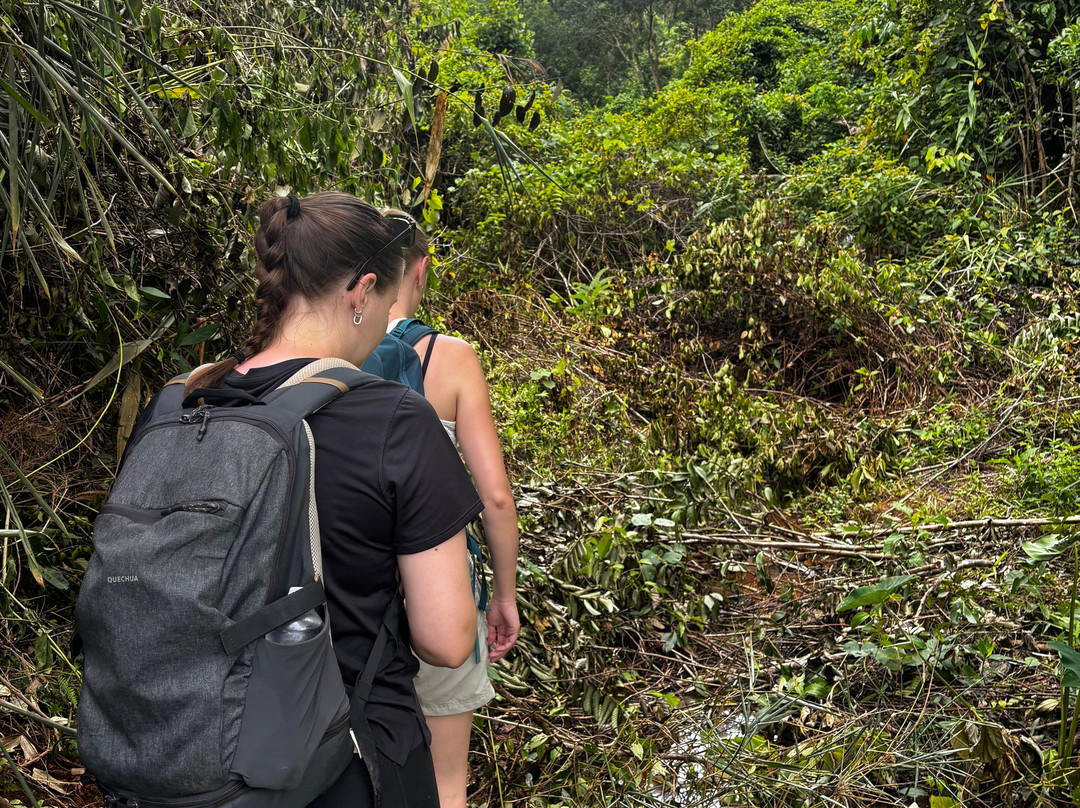 Highland Eco Tours-昆嵩必去景点