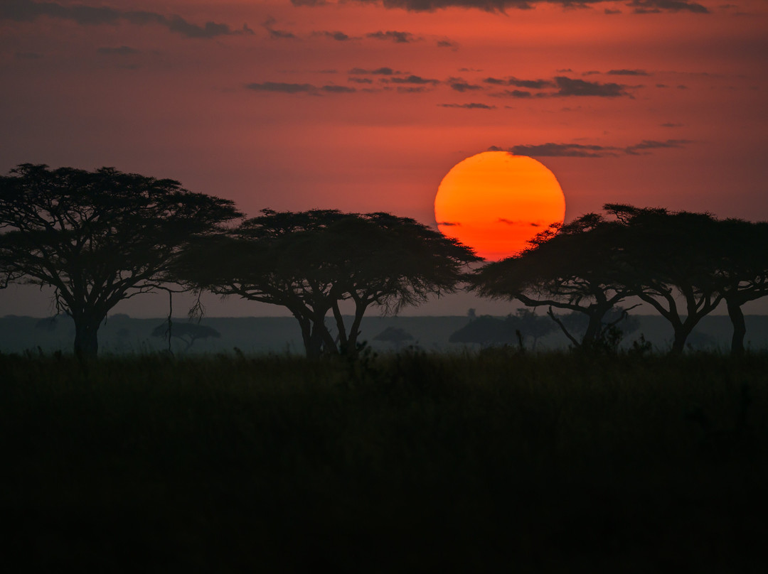 Zara Tanzania Adventures-莫西必去景点