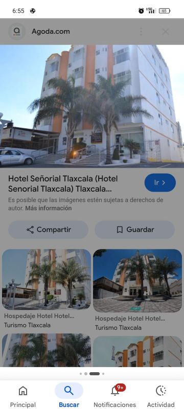塞尼奥丽拉特拉斯卡拉酒店-旅行者