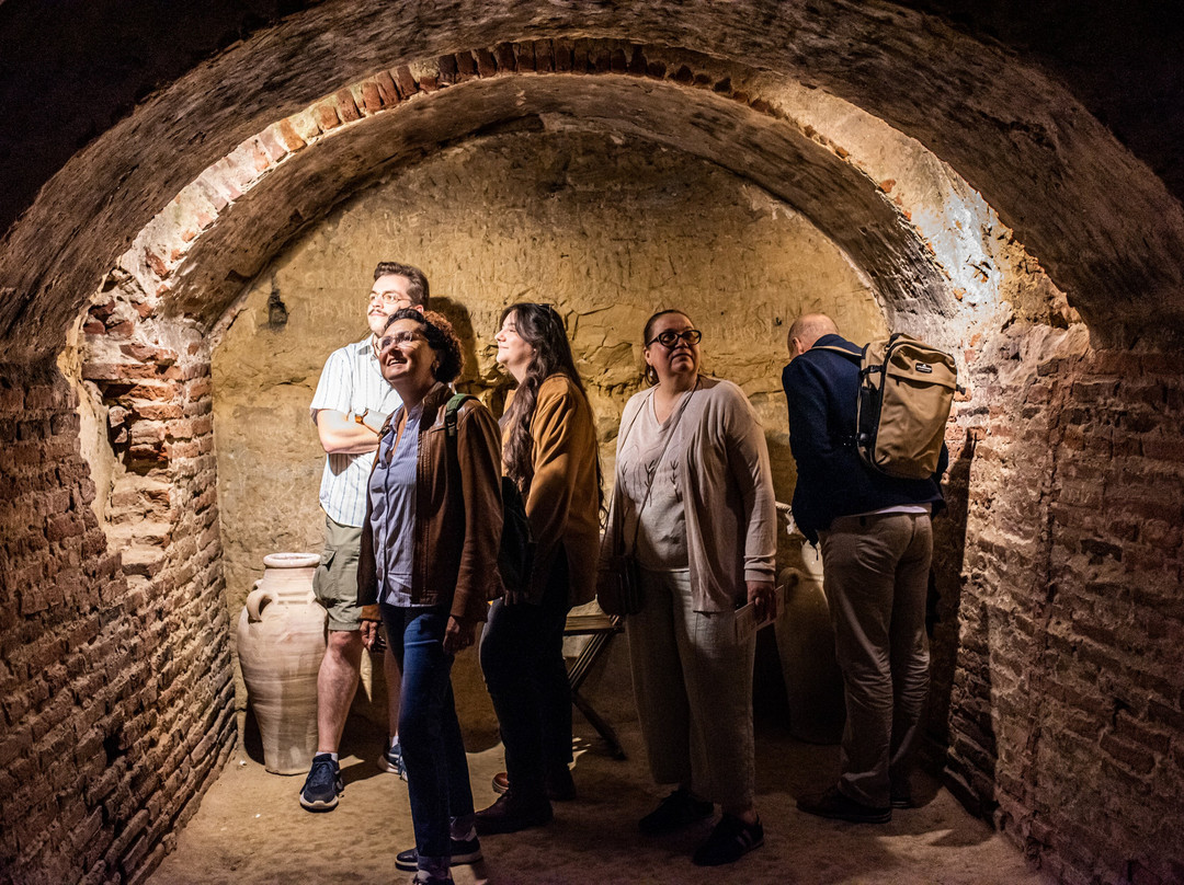 Souterrain Médiéval Du Castella-Saint-Sulpice-la-Pointe必去景点