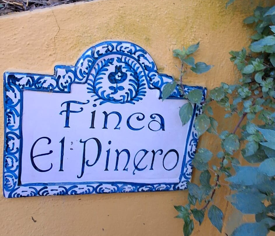 Finca El Pinero-阿尔穆涅卡尔必去景点