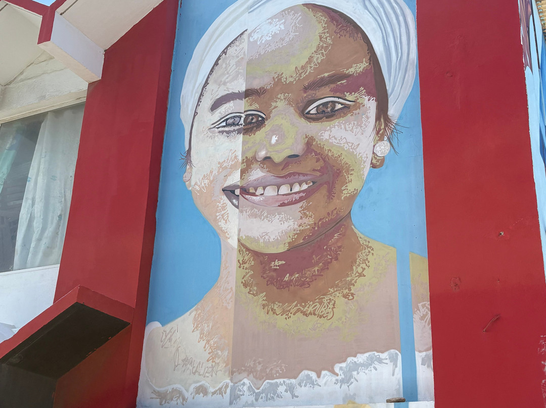 Street Murals By Aruba Art Fair-San Nicolas必去景点
