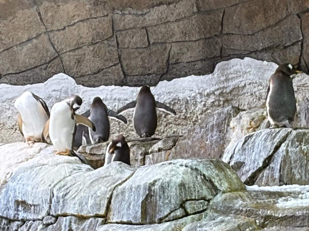 Pairi Daiza Resort主图