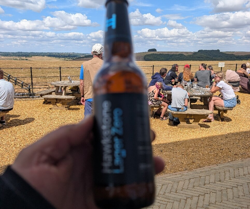 Compton Abbas Airfield-沙夫茨伯里必去景点