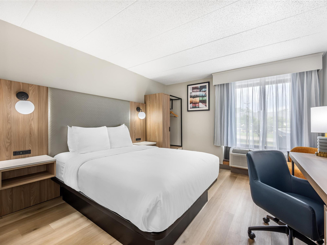 佛罗伦萨酒店住宿-Best Western Inn Florence