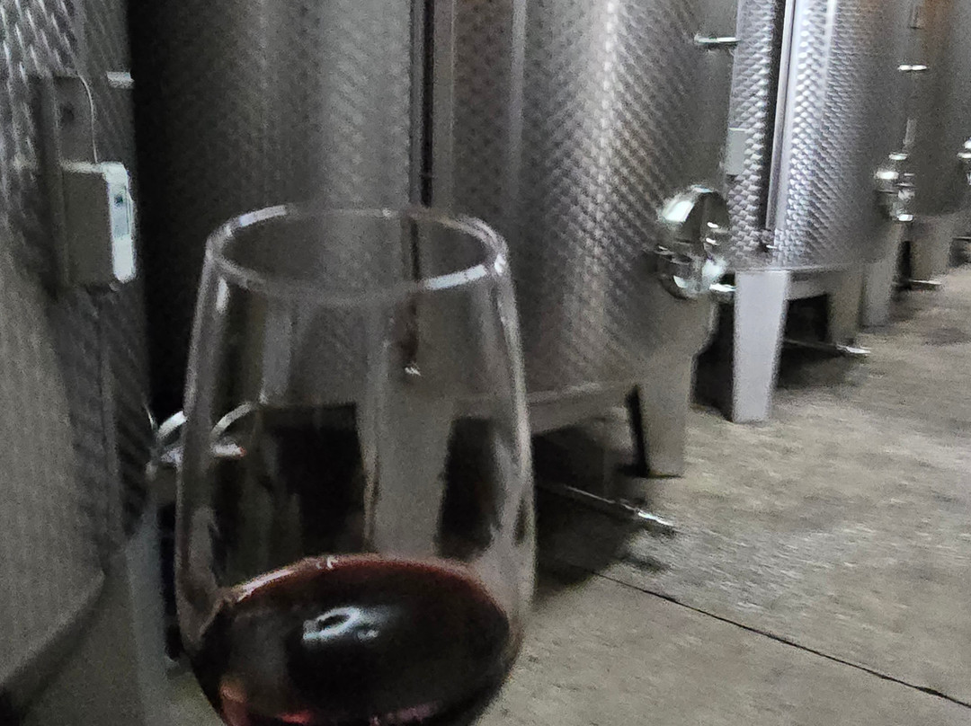 Reif Estate Winery-滨湖尼亚加拉必去景点