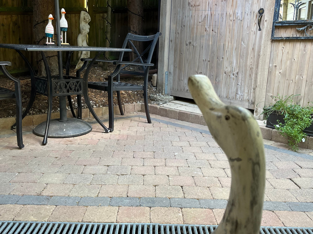 鸭子小屋家庭旅馆主图