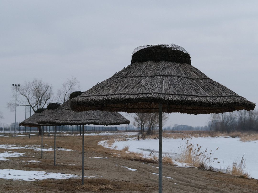 Nadnidziański Park Krajobrazowy-Wislica必去景点