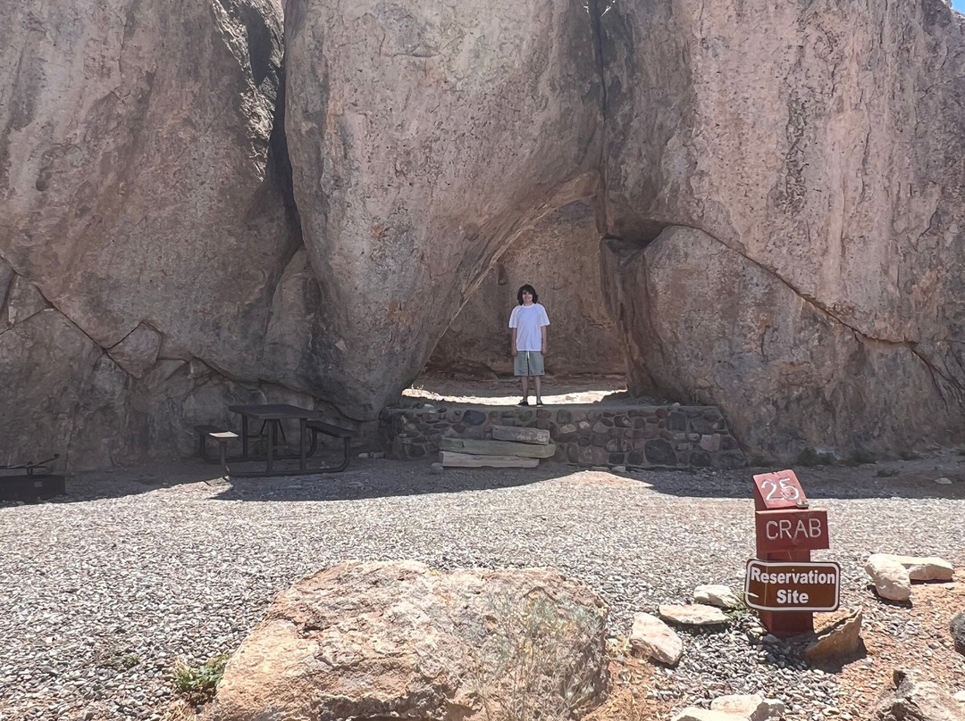 City of Rocks State Park-Deming必去景点
