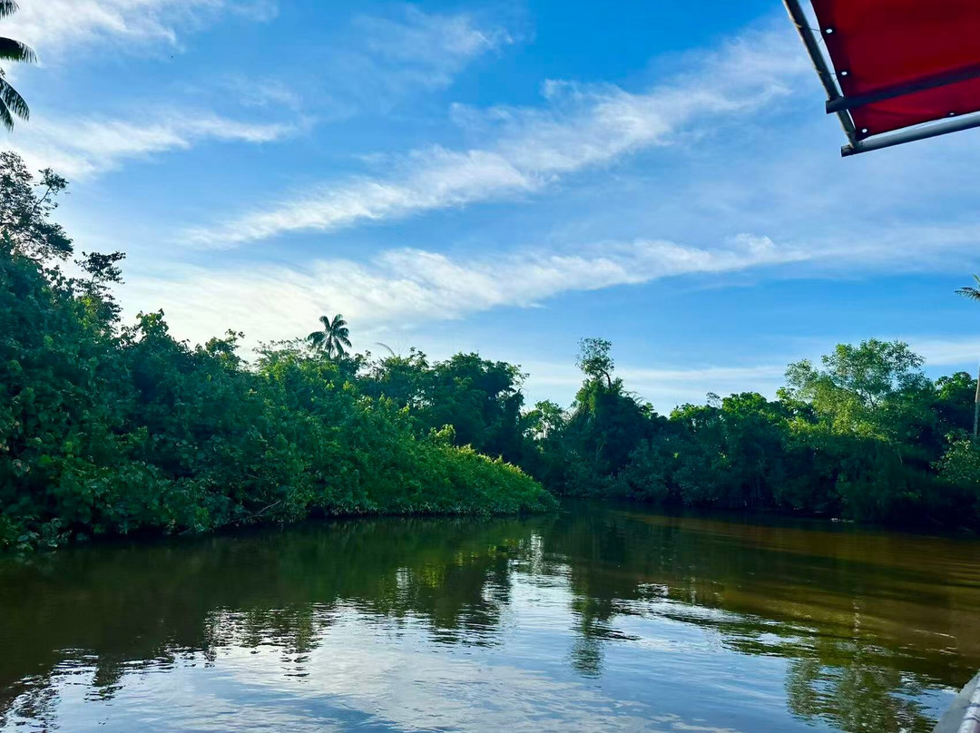 Bongawan Firefly Rivercruise-Bongawan必去景点