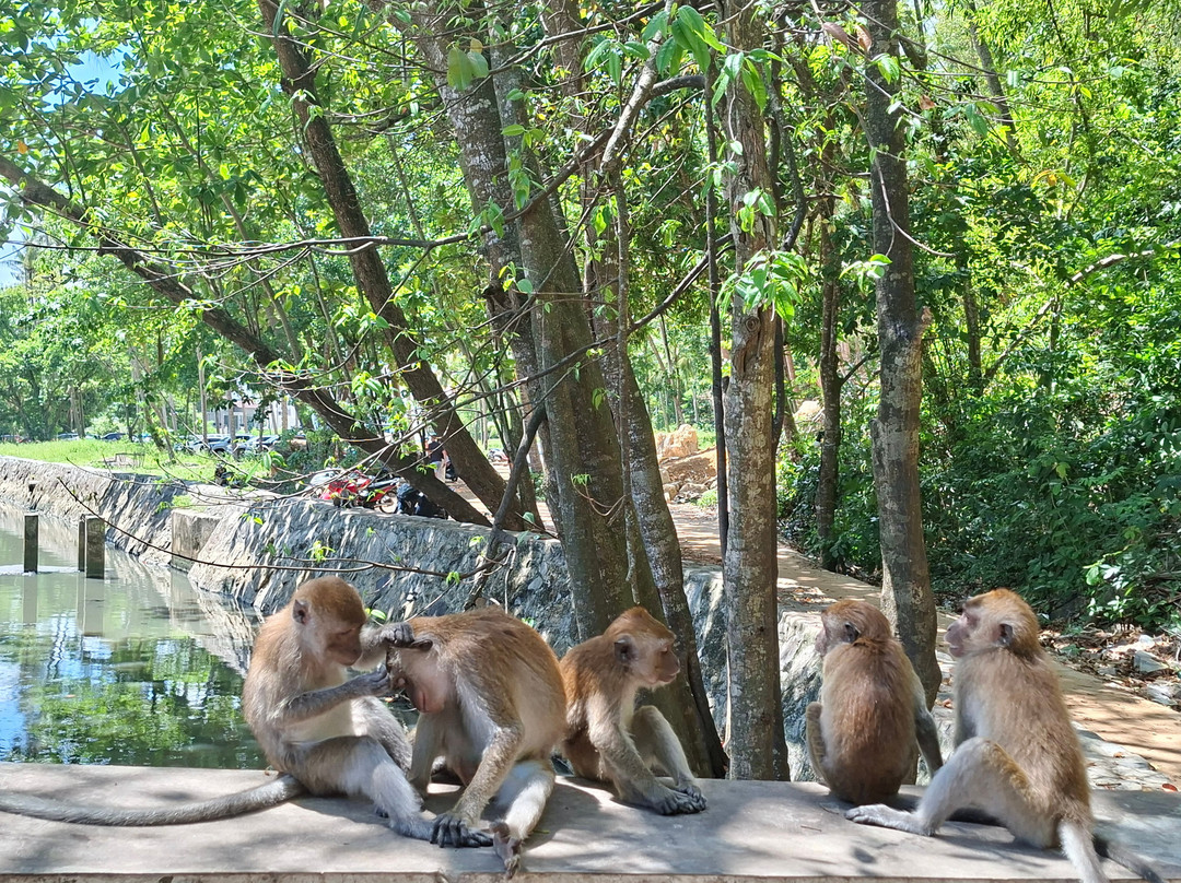Monkey Trail-奥南必去景点