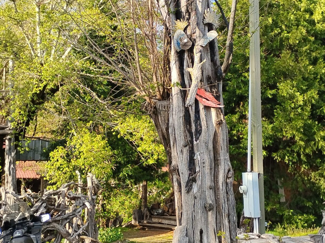 Its a Burl-Kerby必去景点