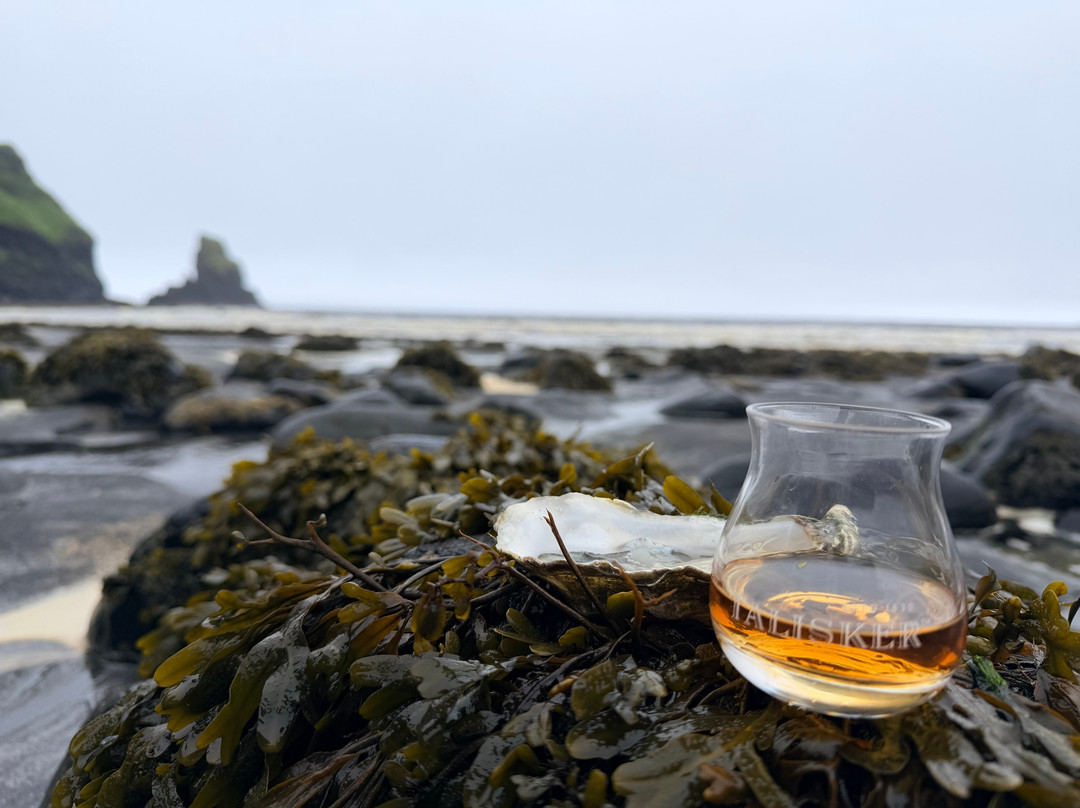 Talisker Beach-Talisker必去景点
