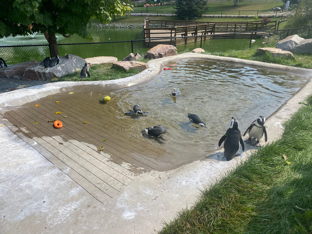 Wildwood Wildlife Park & Nature Center-Minocqua必去景点