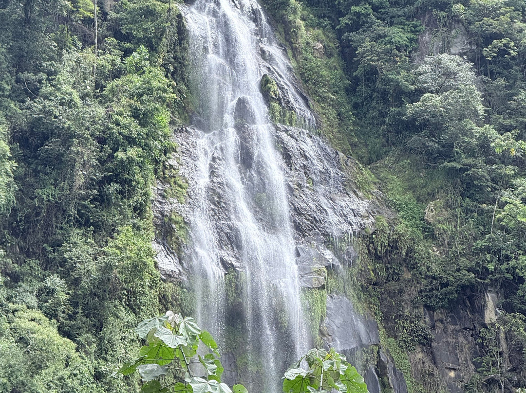 Jungle ATV Quad Tours-乌维塔必去景点
