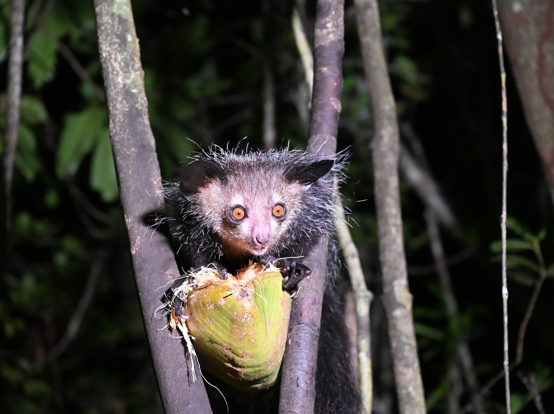 Remote River Expeditions - Madagascar-Morondava必去景点