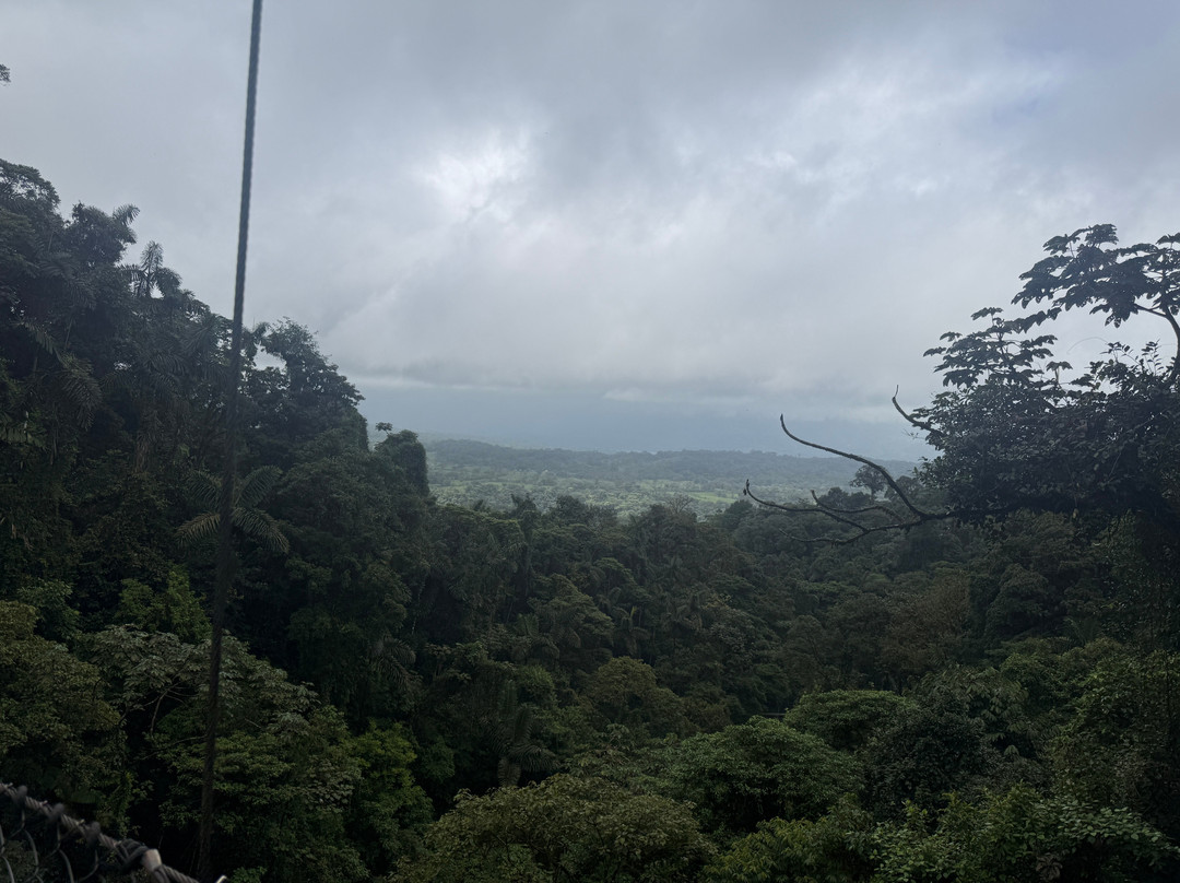 Mistico Arenal Hanging Bridges Park-福德圣卡洛斯必去景点