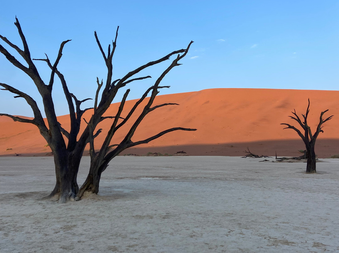 Dusty Foot Tours Namibia-温德和克必去景点