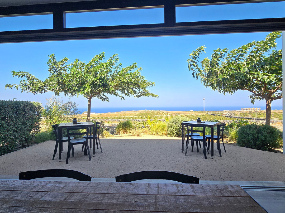 Vassaltis Vineyards-Vourvoulos必去景点
