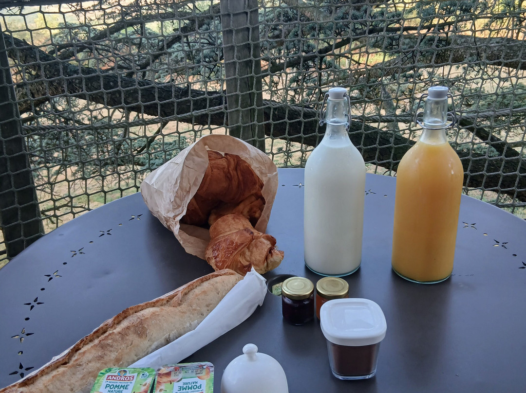 Domaine des Grands Cèdres主图