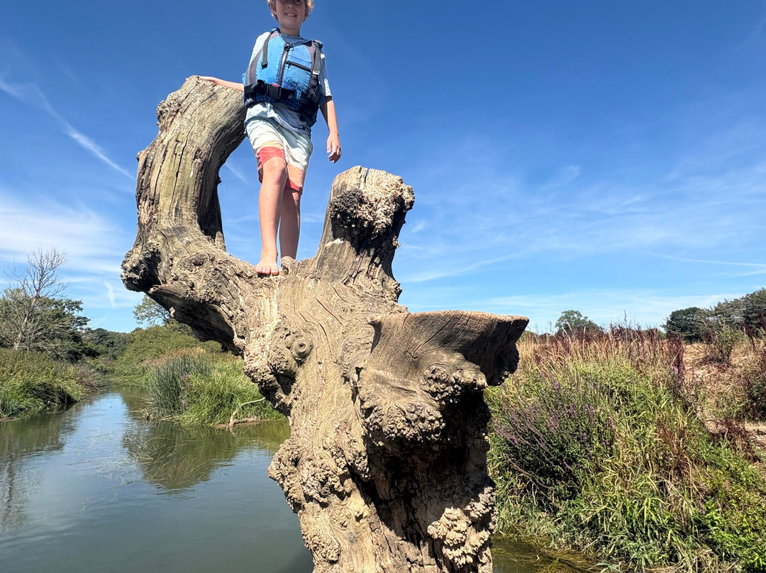 Pulborough Paddles-Pulborough必去景点