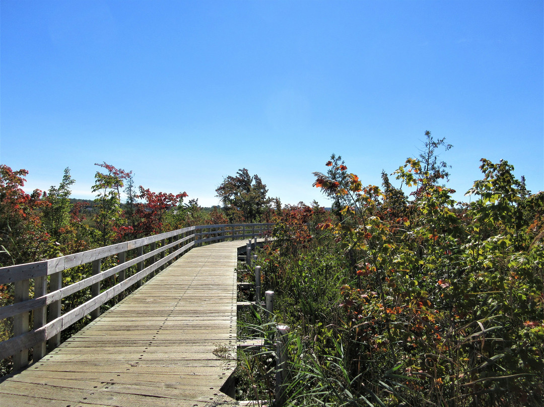 Tourisme Memphremagog-梅戈格必去景点