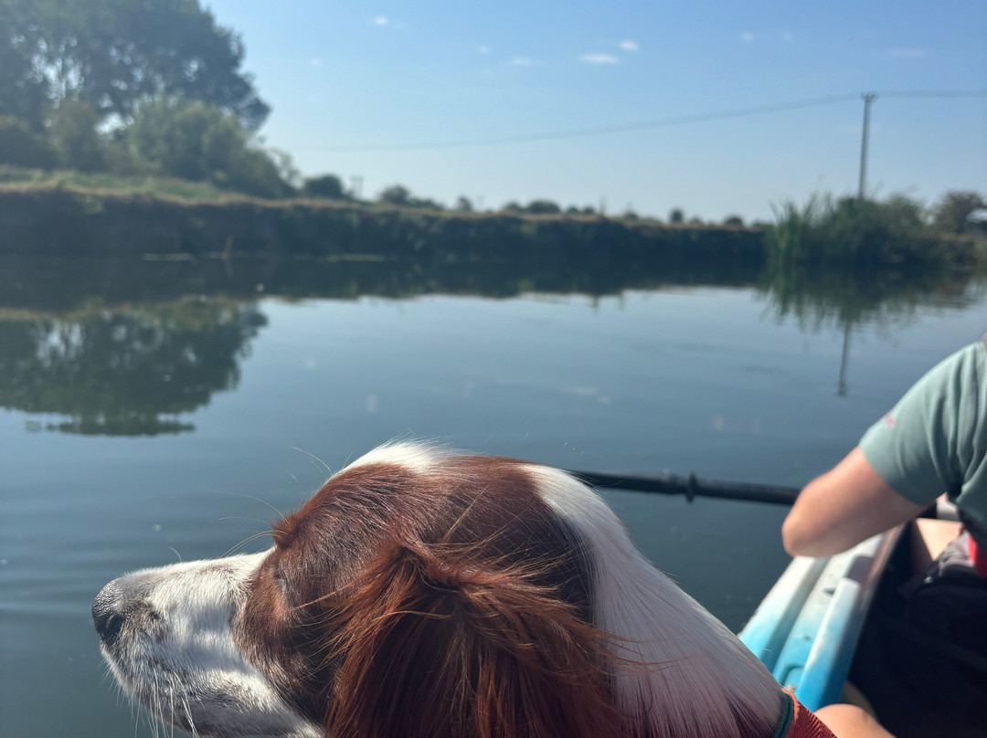 Cotswold Canoe Hire-莱奇莱德必去景点