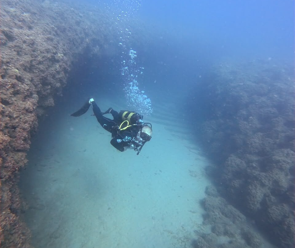 Dolphin Diving Center-雷斯蒙必去景点