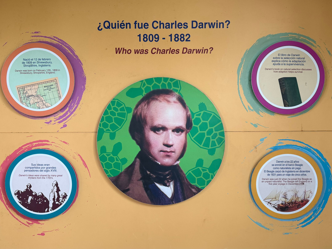 Charles Darwin Research Station-阿约拉港必去景点